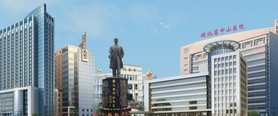 武漢中山醫院